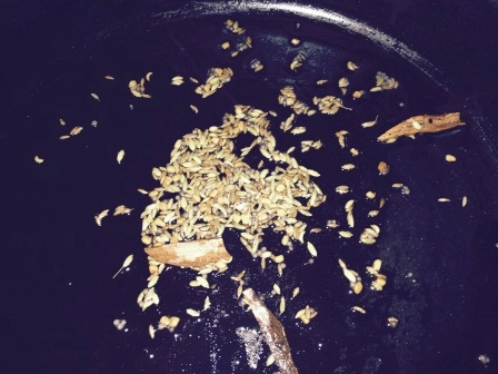 Bombay Chutney