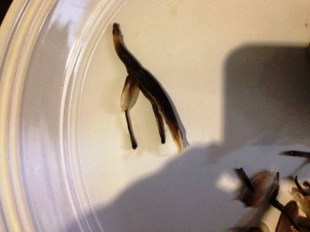 Banana flower fry