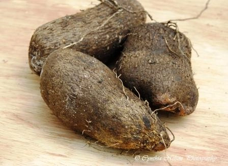 History of Yam