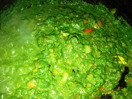 Palak Paneer Recipe