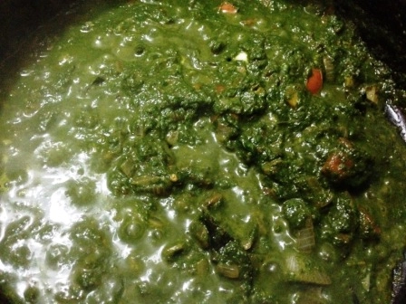 Palak Paneer Recipe
