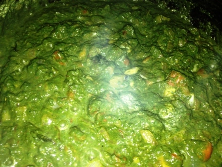 Palak Paneer Recipe