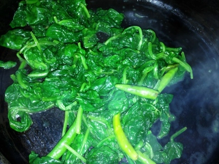 Palak Paneer Recipe