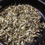 Anchovies fry