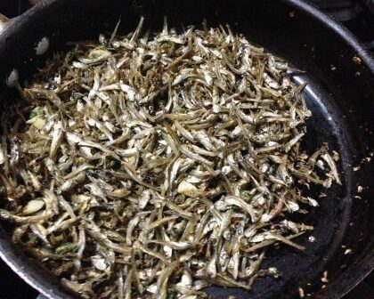 Anchovies fry